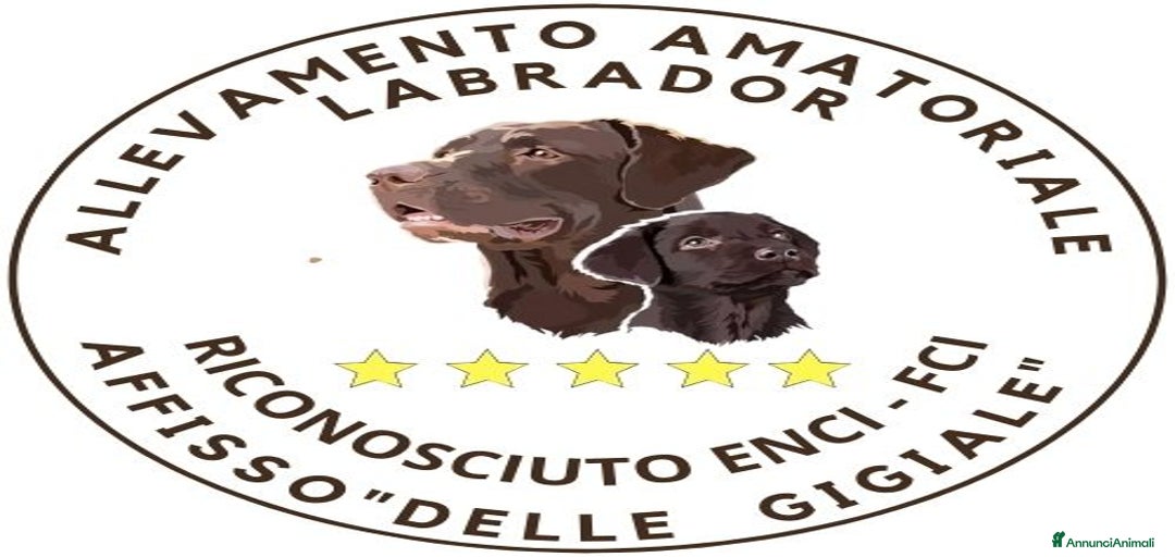 Immagine della galleria {{count}}