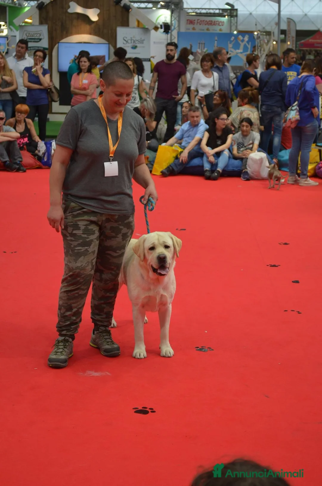 Immagine della galleria {{count}}