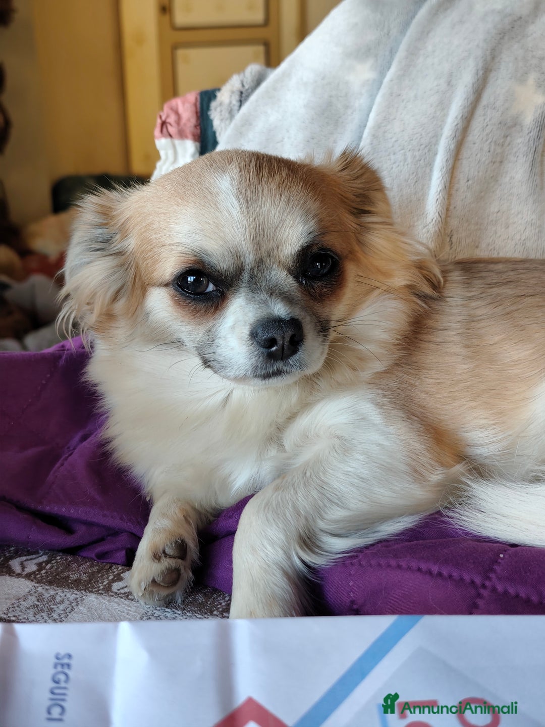 Immagine della galleria {{count}}