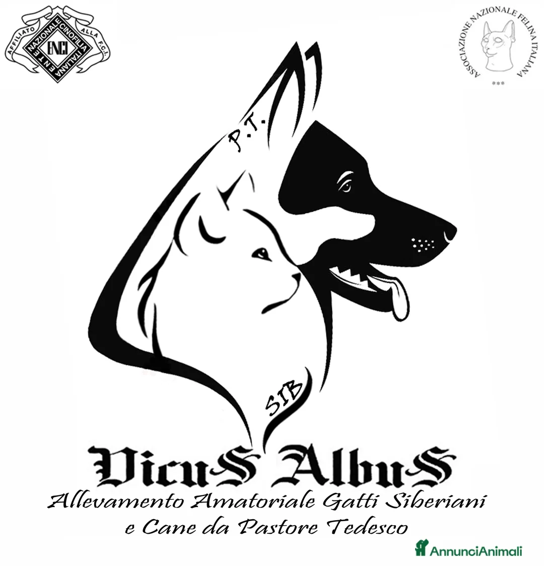 Immagine della galleria {{count}}