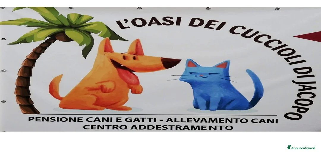 Immagine della galleria {{count}}