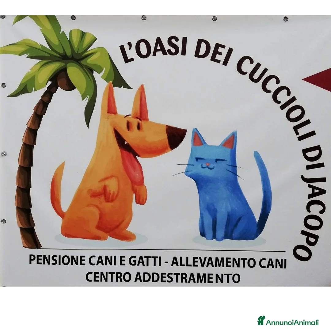 Immagine della galleria {{count}}