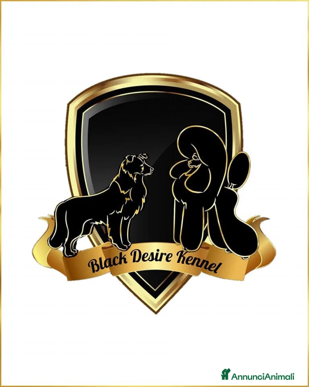 Immagine della galleria {{count}}