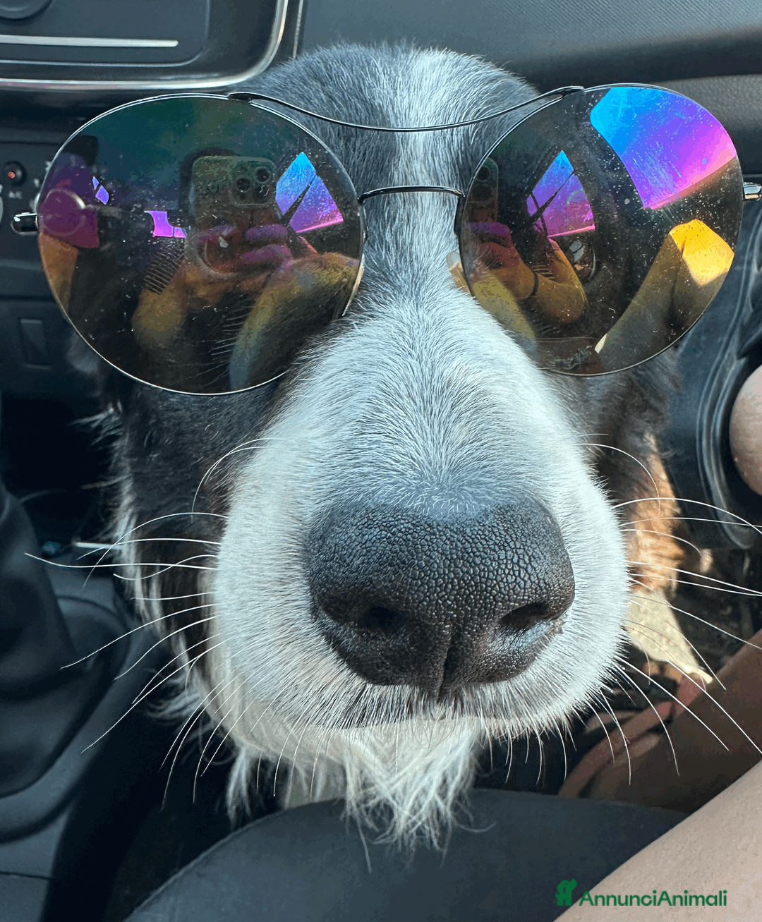 Immagine della galleria {{count}}