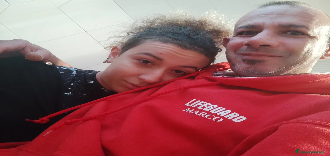 Immagine della galleria {{count}}