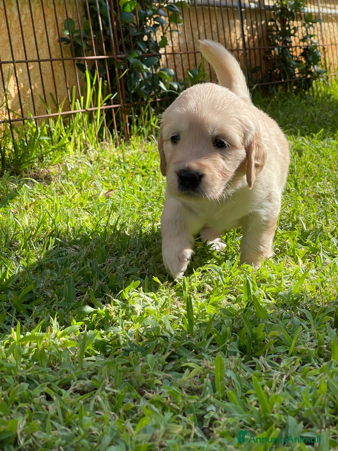 Immagine della galleria {{count}}