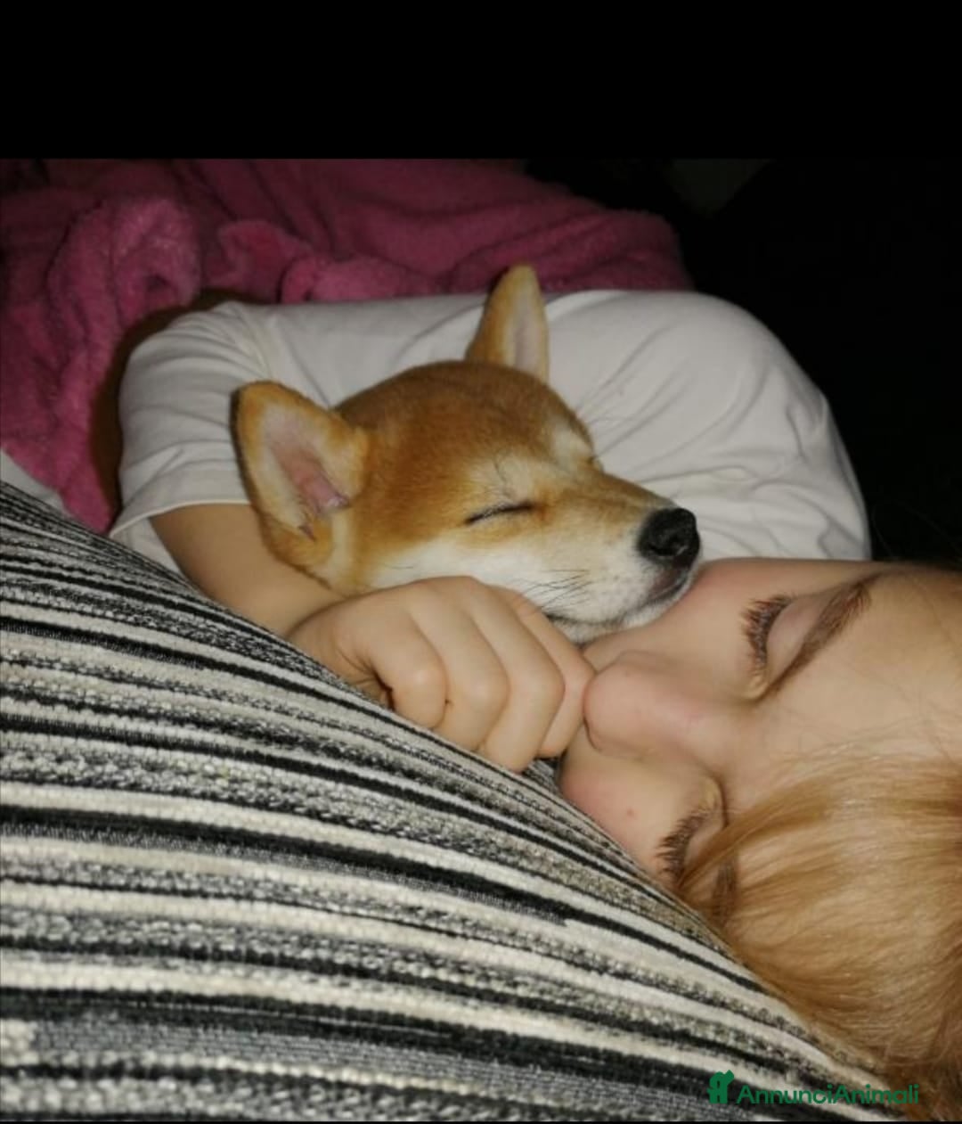 Immagine della galleria {{count}}