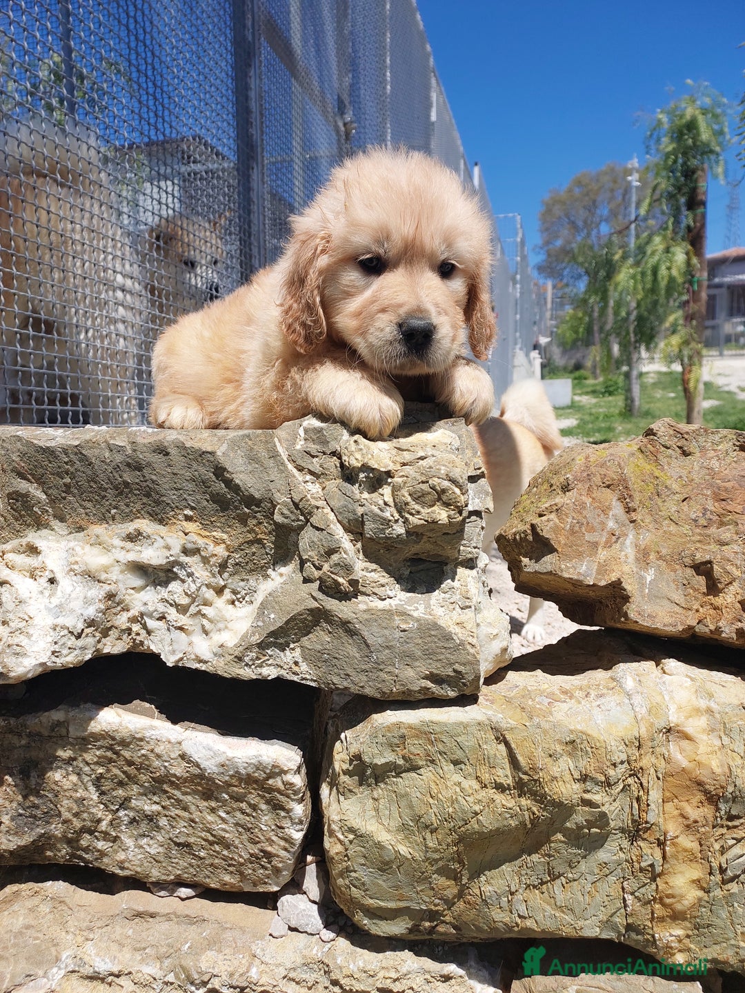 Immagine della galleria {{count}}