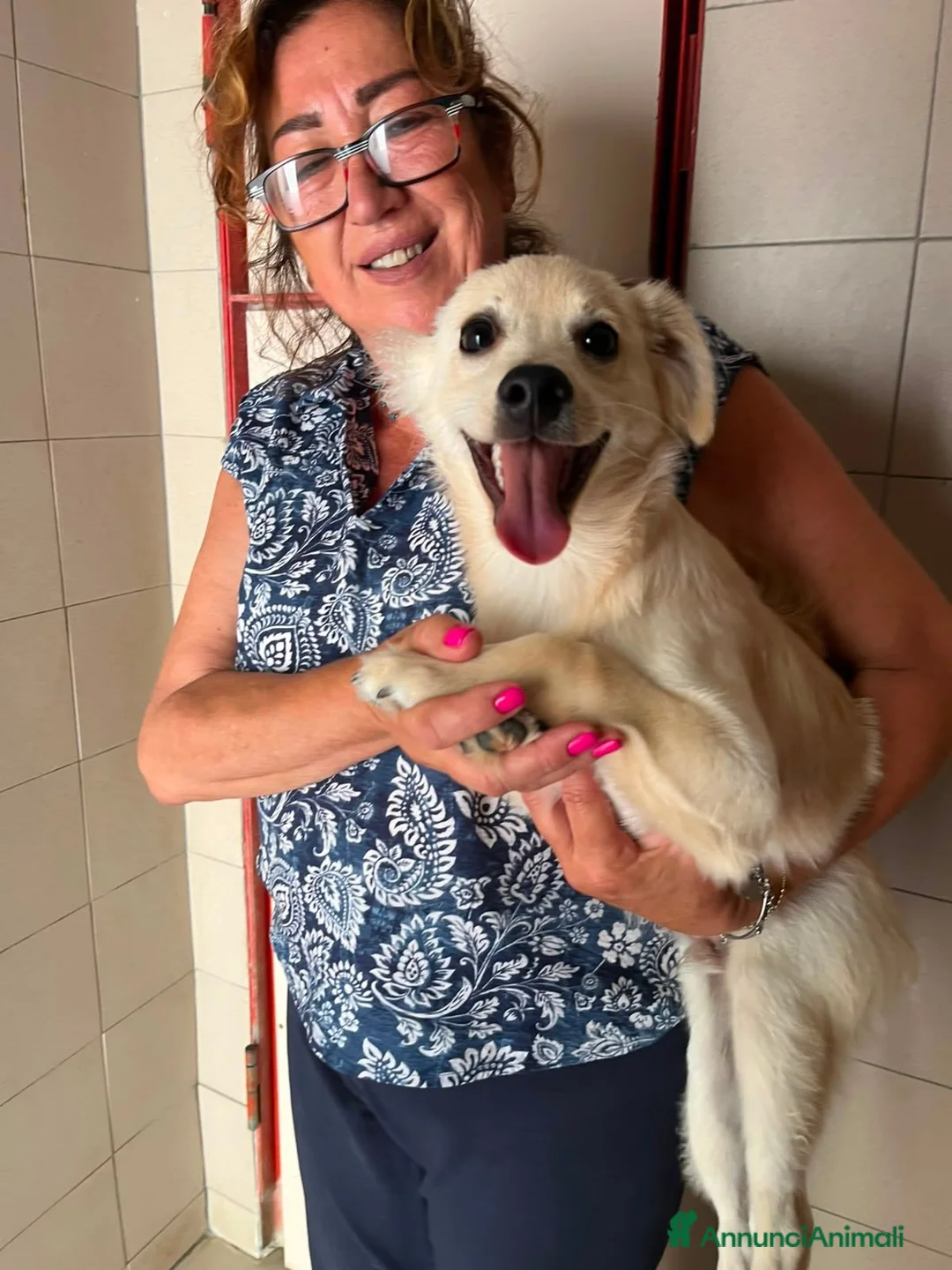 Meticcio cani in regalo: FIOCCO CERCA LA SUA FAMIGLIA PER LA VITA - Annuncio 4