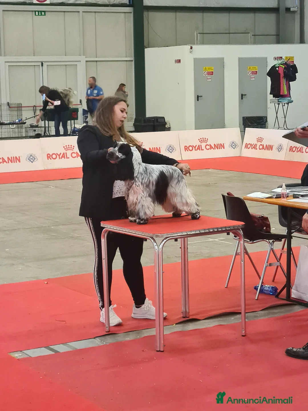 Immagine della galleria {{count}}