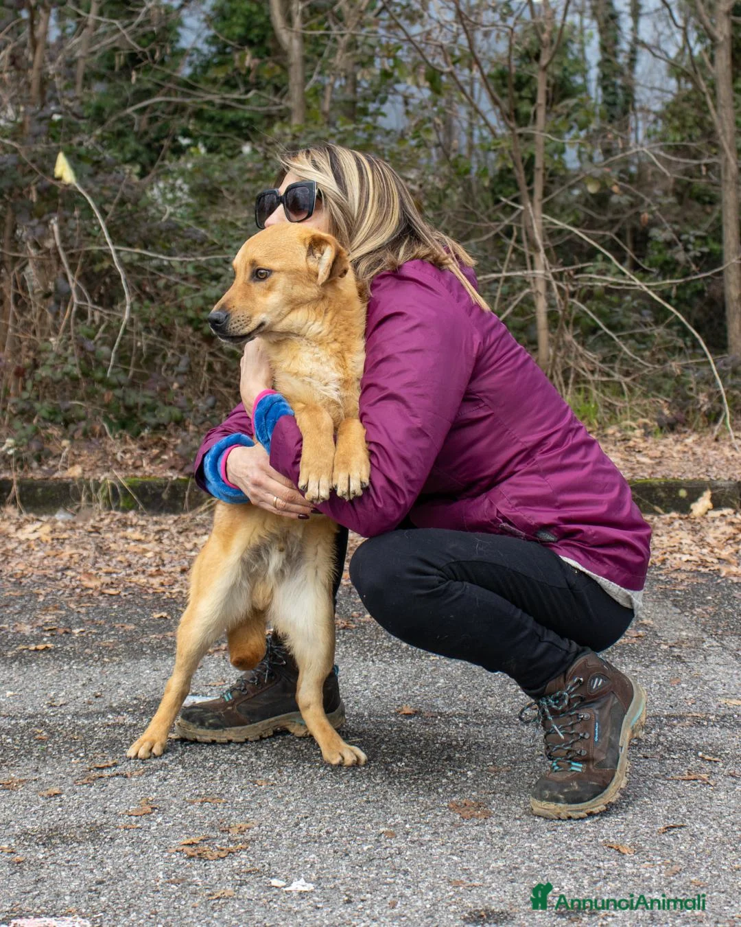 Altre razze cani in regalo: ugo 6 mesi - Annuncio 4