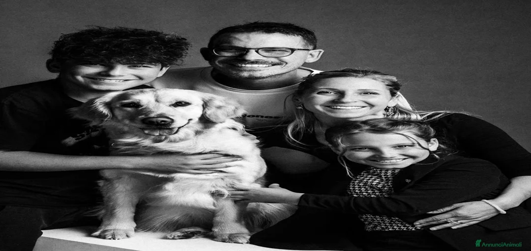 Immagine della galleria {{count}}