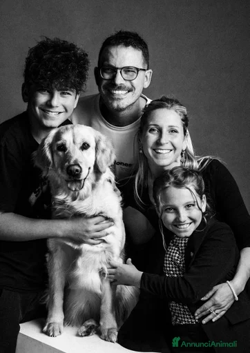 Immagine della galleria {{count}}