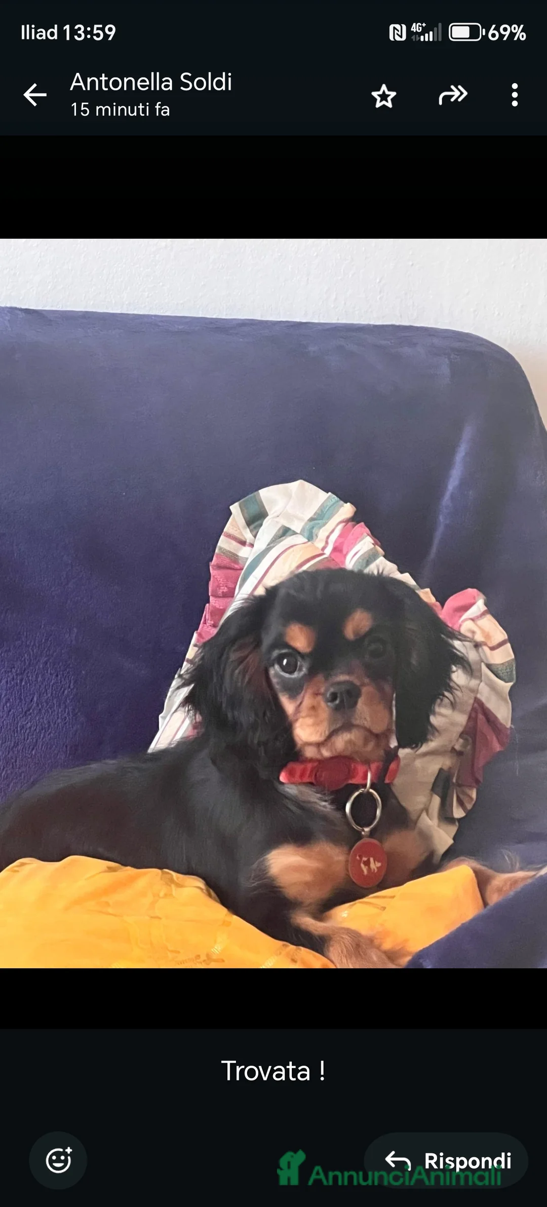 Immagine della galleria {{count}}