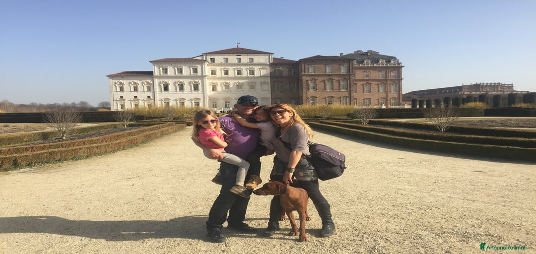 Immagine della galleria {{count}}