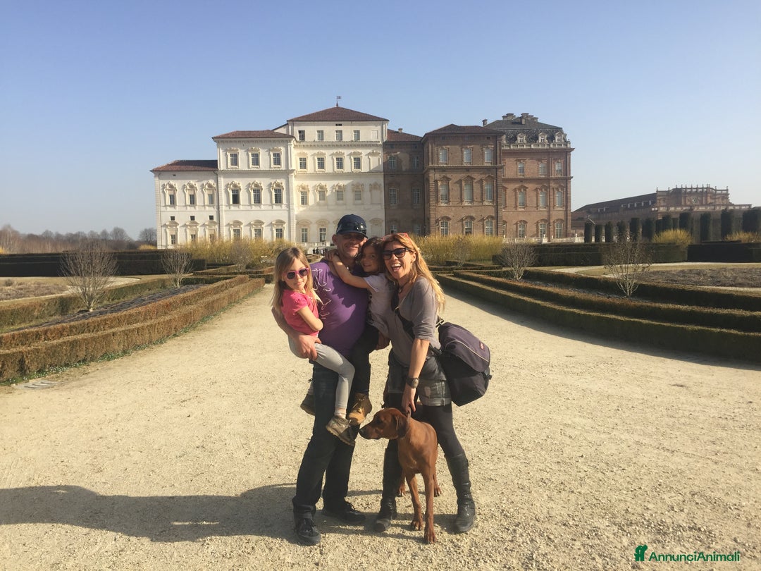 Immagine della galleria {{count}}