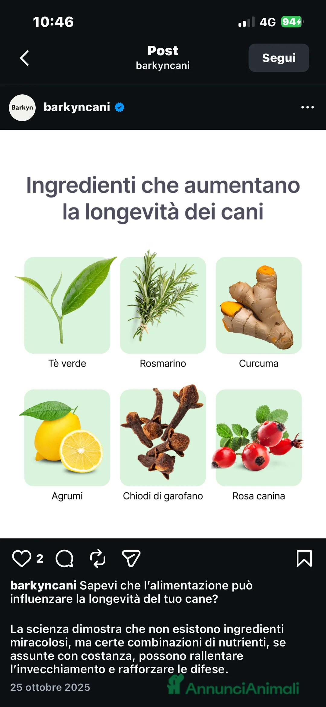 Bulldog Francese cani in vendita: 5 Sugar Bulldogs🧁 - Annuncio 2