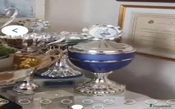 Pastore Tedesco cani in regalo:  proprietario regala splendidi cuccioli  - Annuncio 17