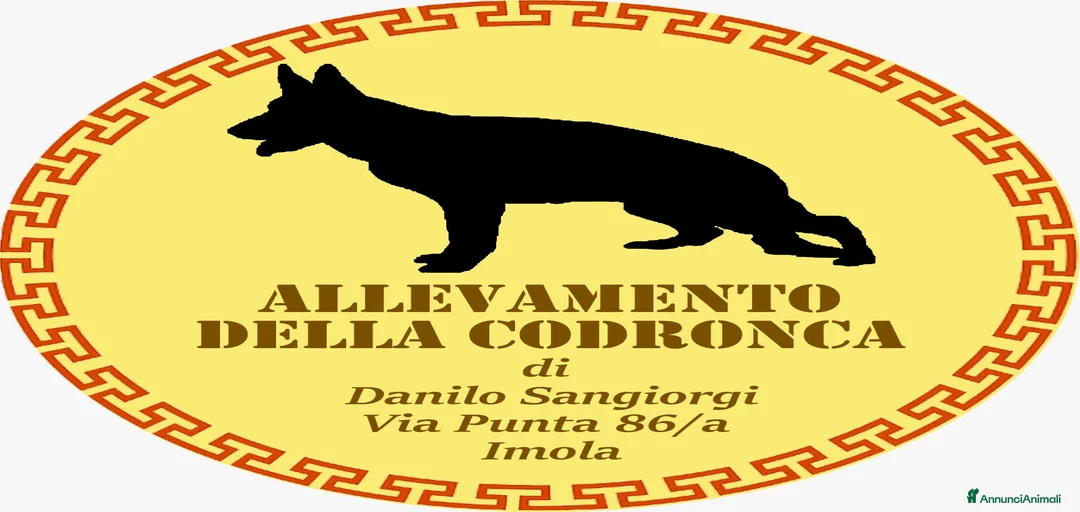 Immagine della galleria {{count}}