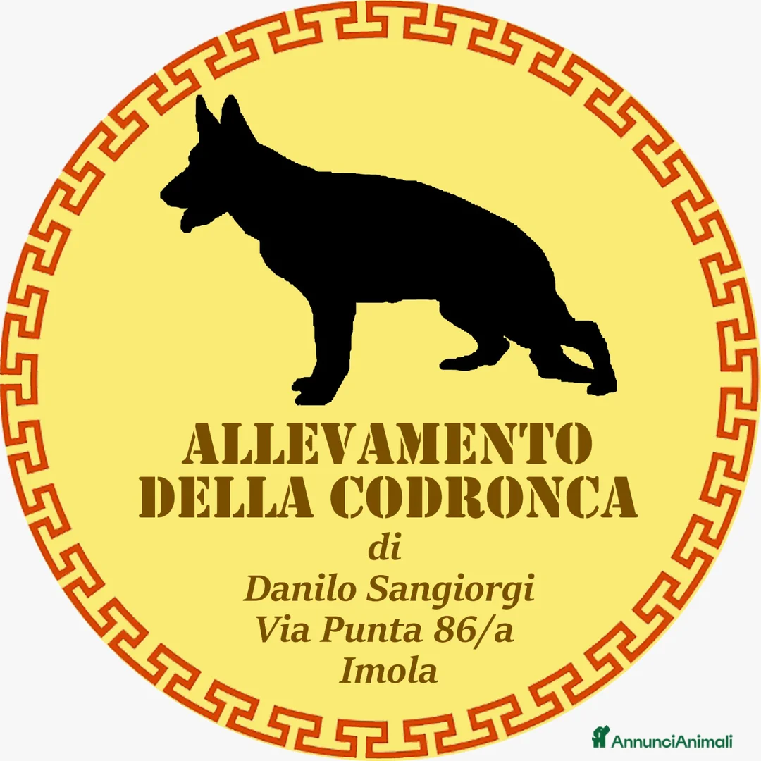 Immagine della galleria {{count}}