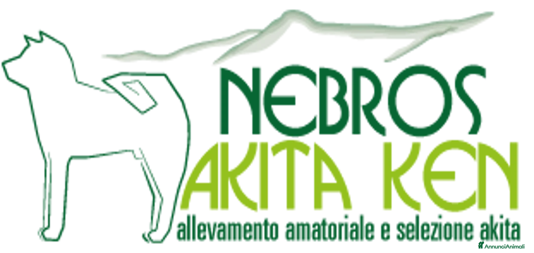 Immagine della galleria {{count}}