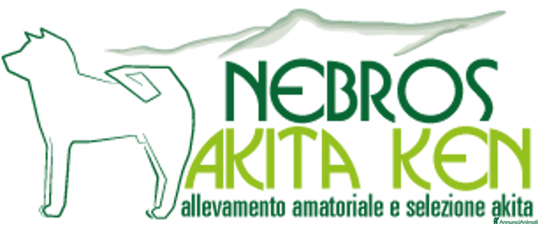 Immagine della galleria {{count}}