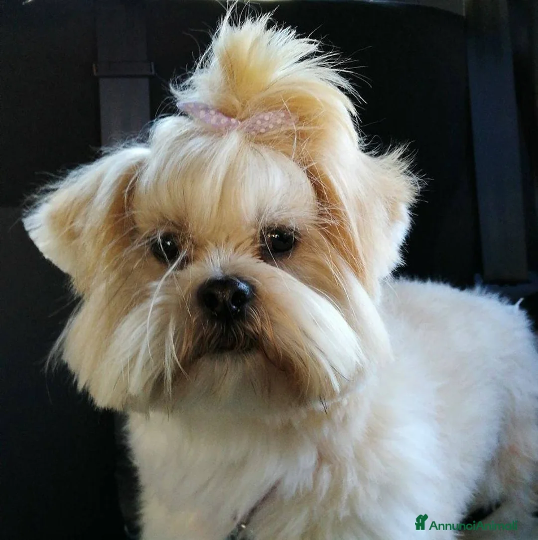 Immagine della galleria {{count}}