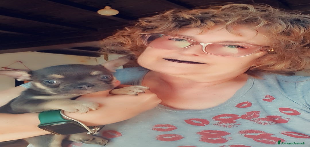 Immagine della galleria {{count}}