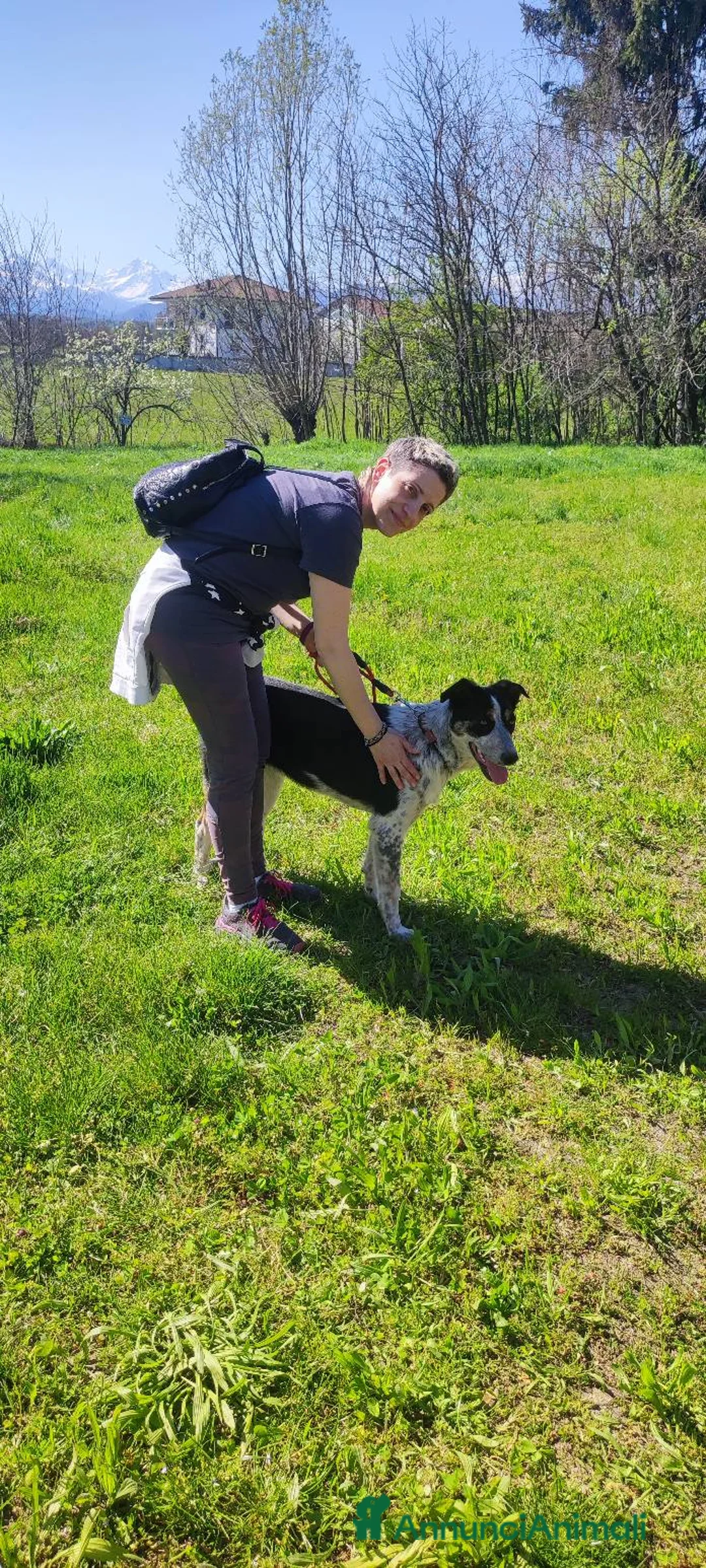 Meticcio cani in regalo: Dolce Kiki cerca casa - Annuncio 13