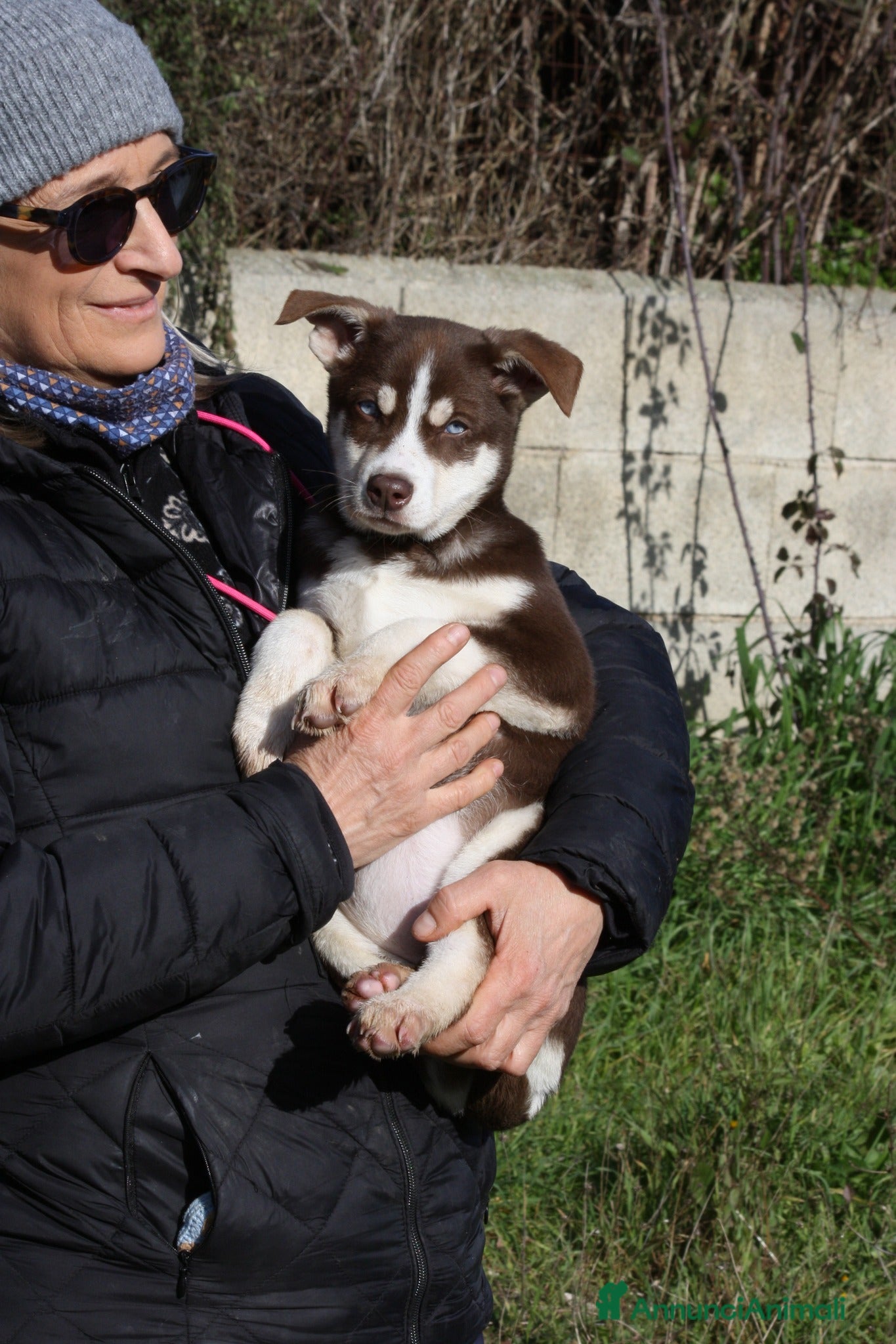 Meticcio cani Meravigliosa Alice 3 mesi e mezzo in adozione  - Annuncio 14