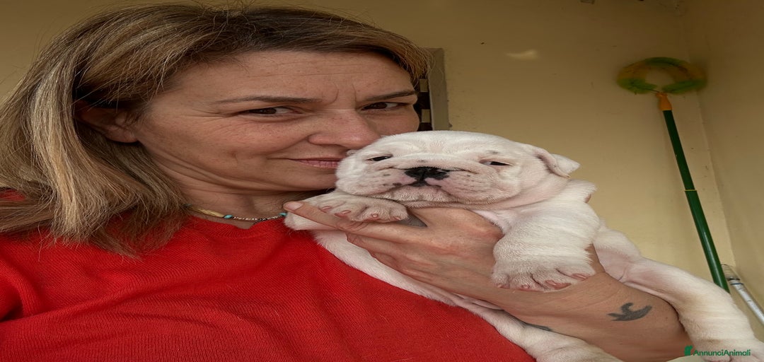 Immagine della galleria {{count}}