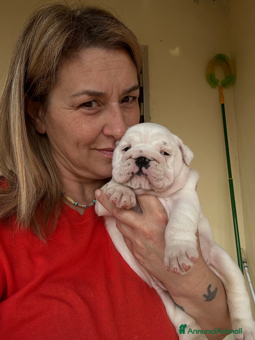 Immagine della galleria {{count}}