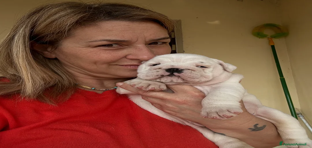 Immagine della galleria {{count}}