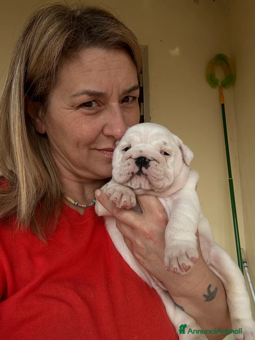 Immagine della galleria {{count}}