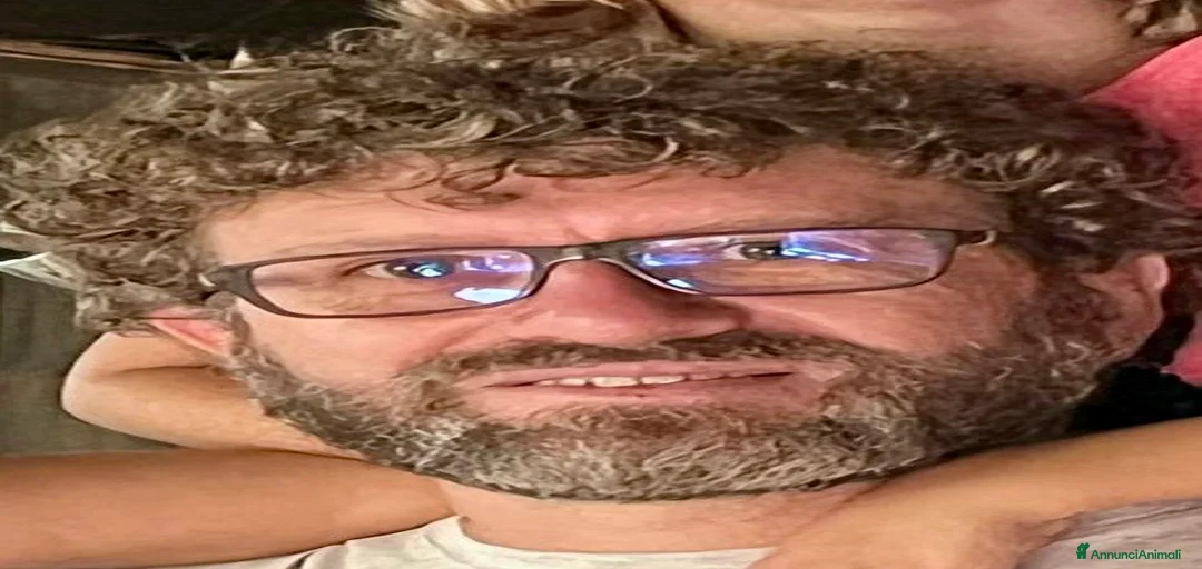 Immagine della galleria {{count}}