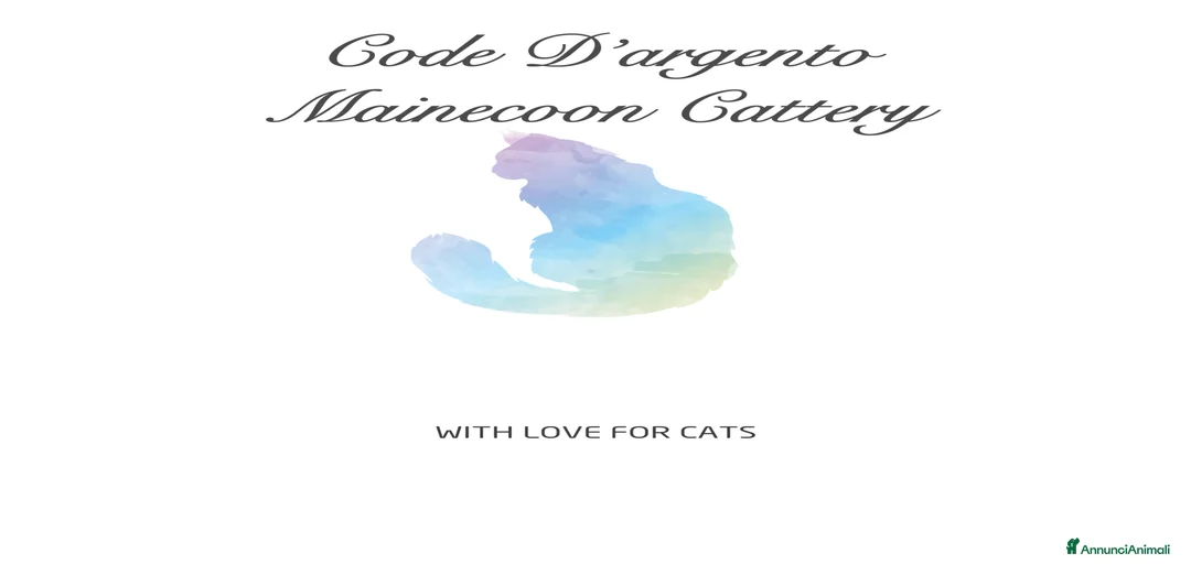 Immagine della galleria {{count}}