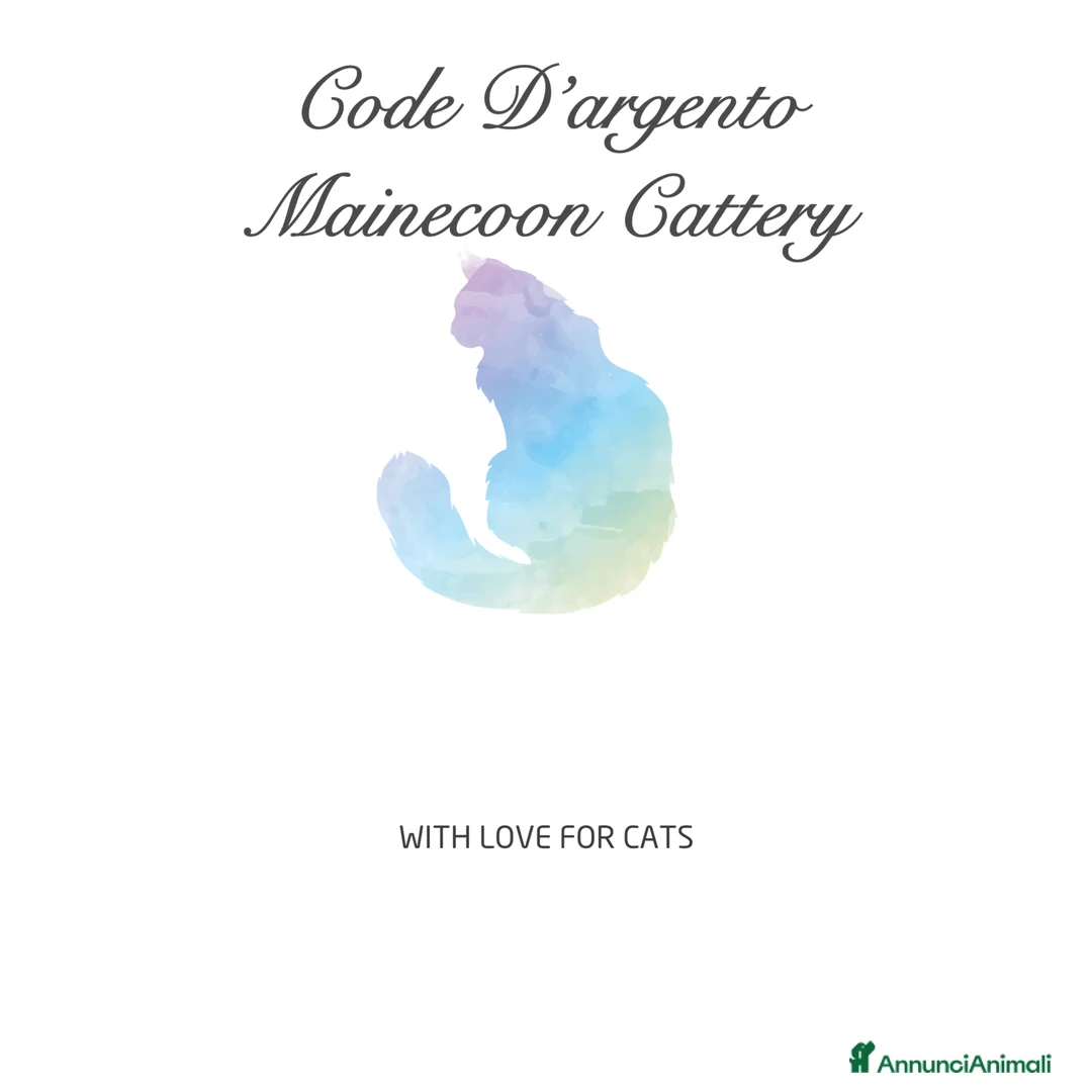 Immagine della galleria {{count}}