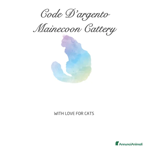 Immagine della galleria {{count}}