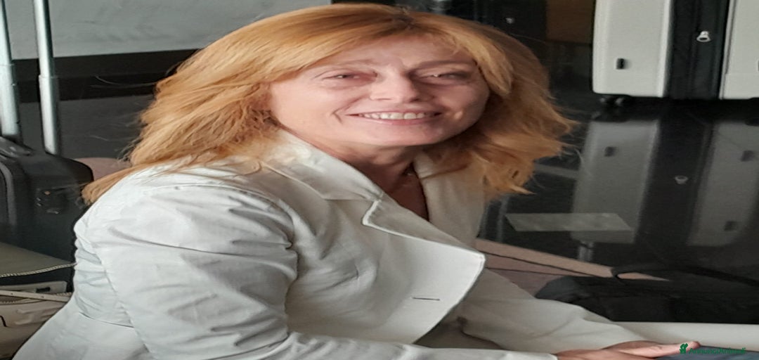 Immagine della galleria {{count}}