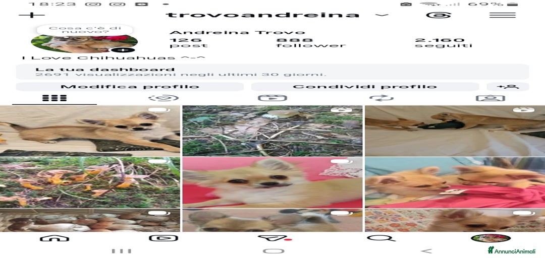 Immagine della galleria {{count}}