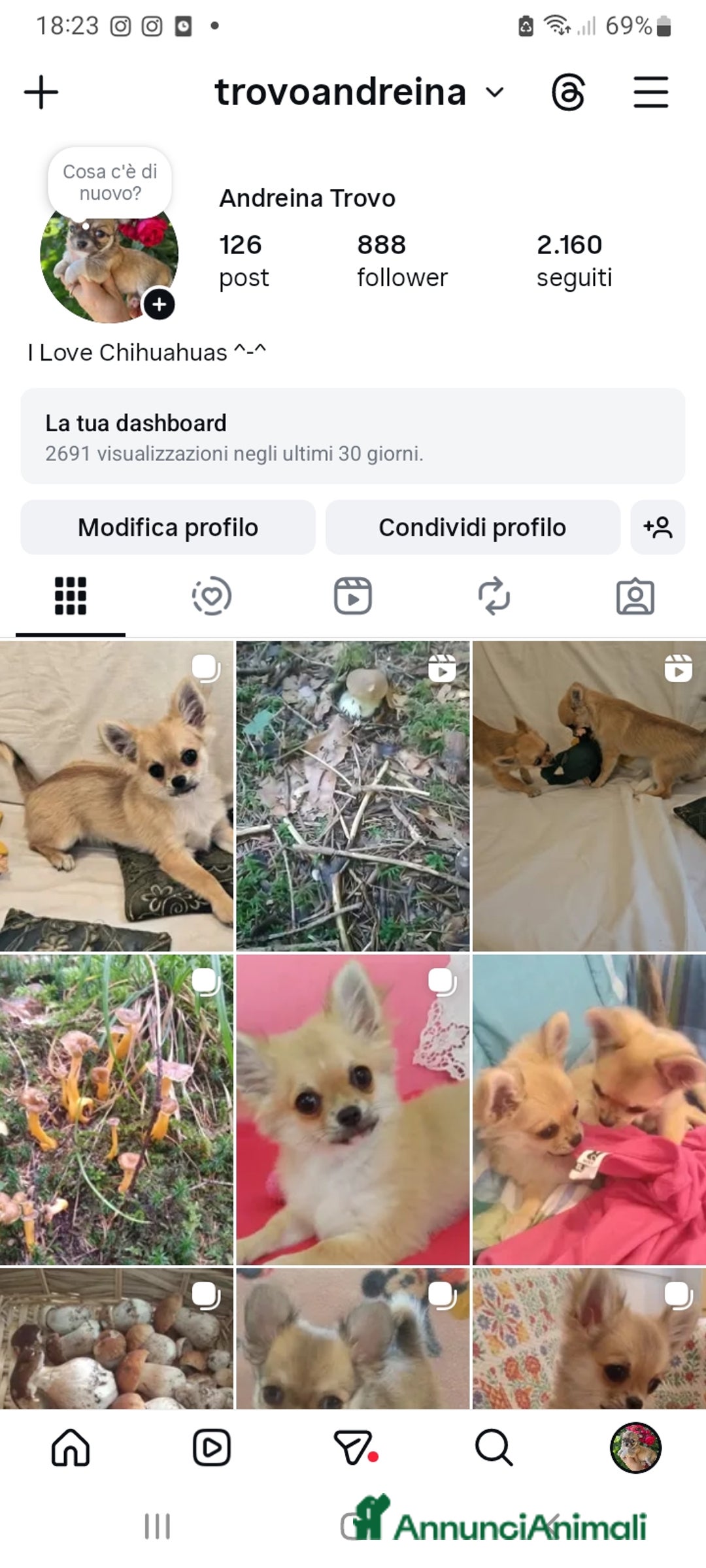 Immagine della galleria {{count}}