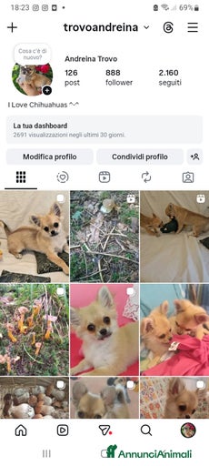 Immagine della galleria {{count}}