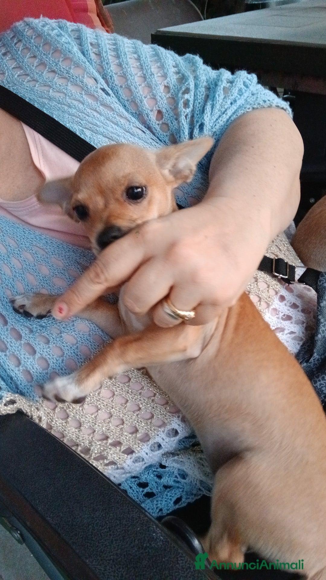 Immagine della galleria {{count}}