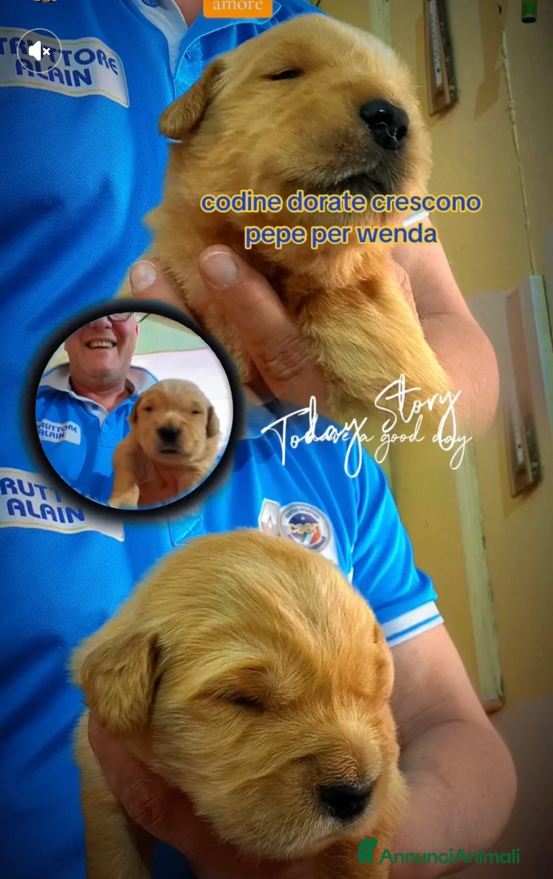 Immagine della galleria {{count}}