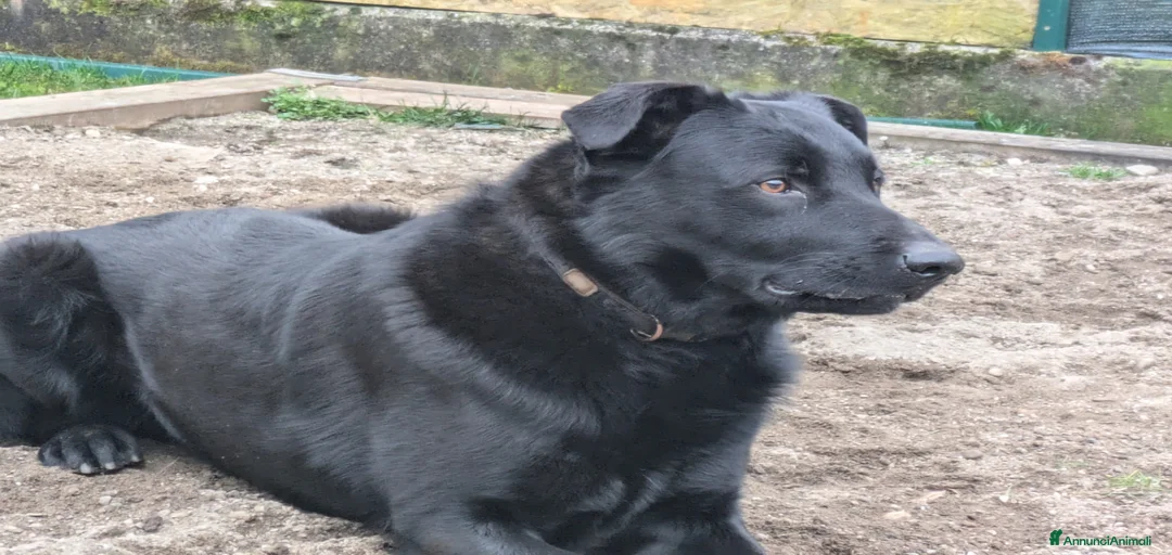 Immagine della galleria {{count}}