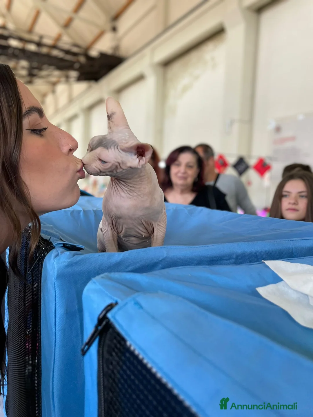 Immagine della galleria {{count}}