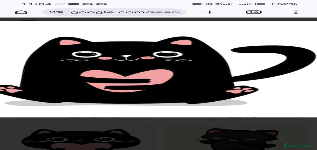 Immagine della galleria {{count}}