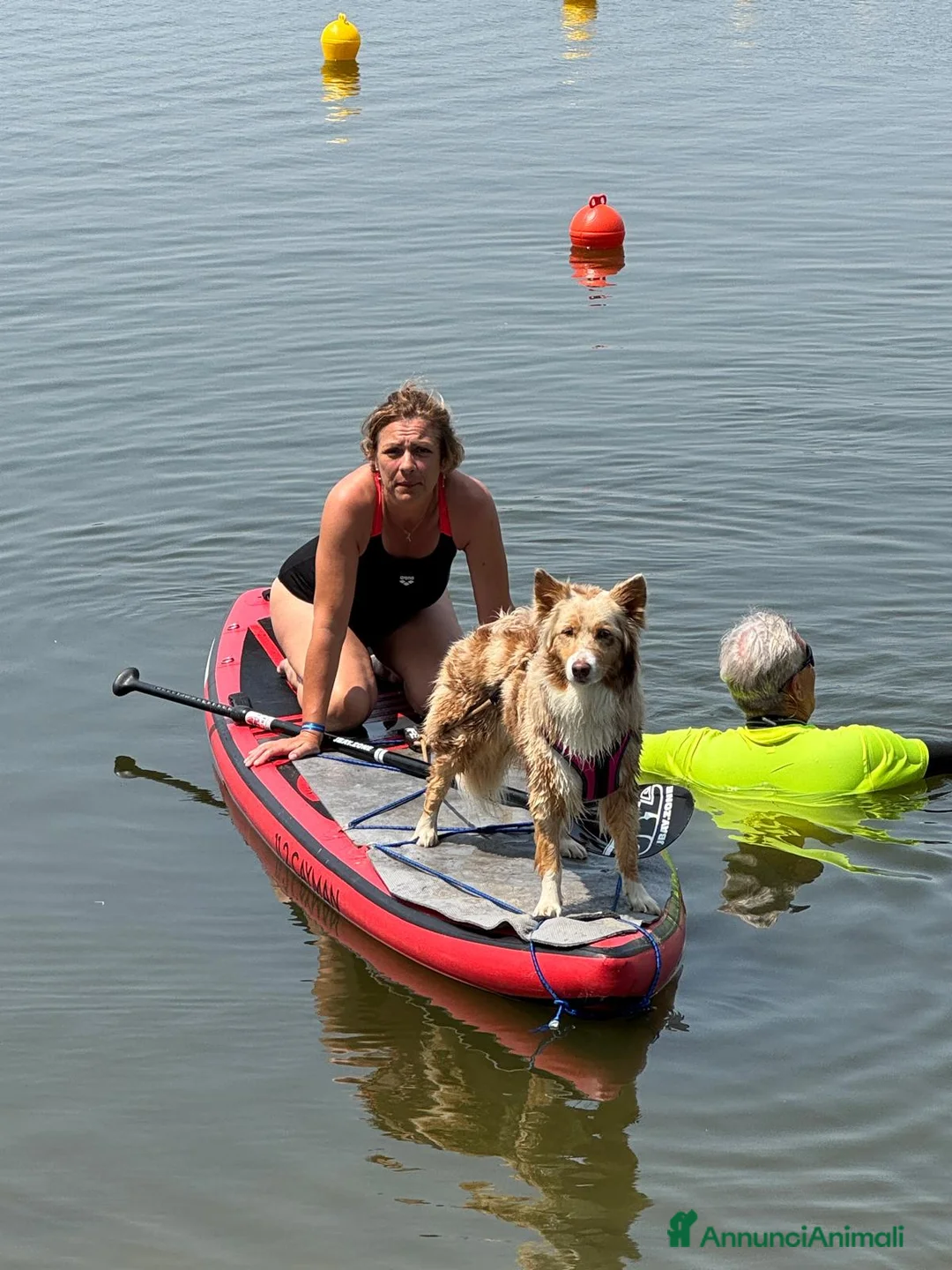 Immagine della galleria {{count}}