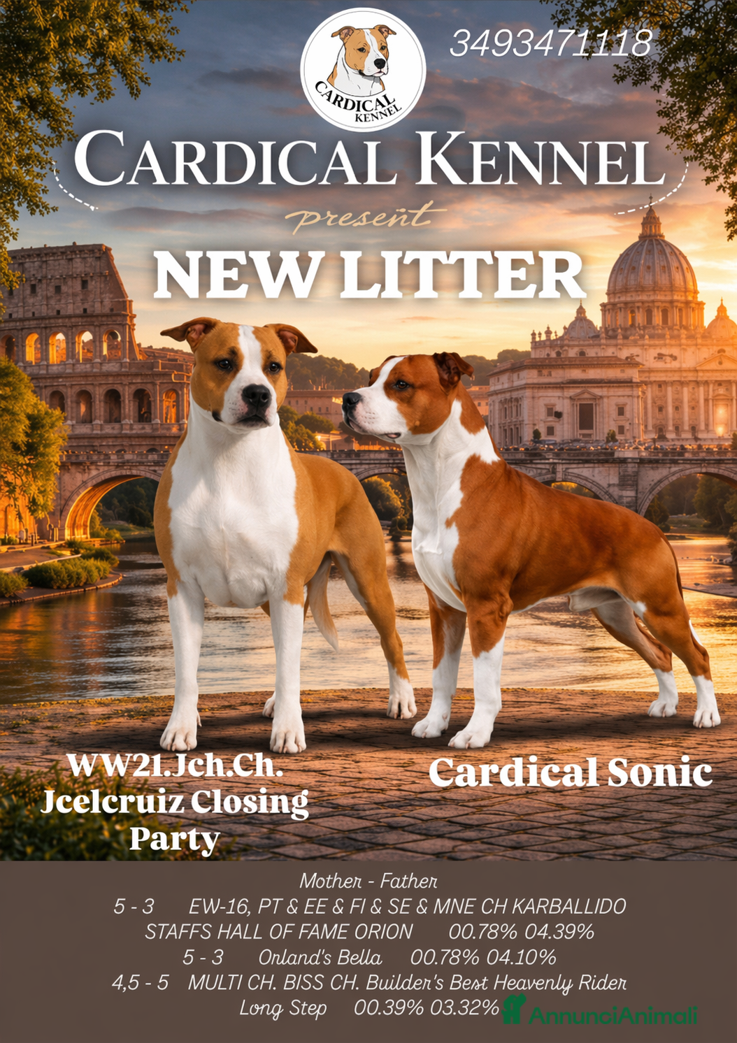 American Staffordshire cani Cuccioli American Staffordshire Terrier  - Annuncio 1