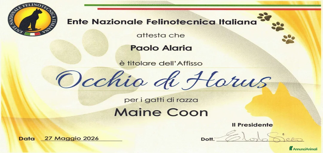 Immagine della galleria {{count}}